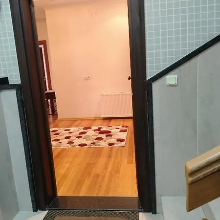 Oezcelik 阿拉尼亚